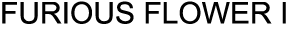 FURIOUS FLOWER I