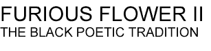 FURIOUS FLOWER II
